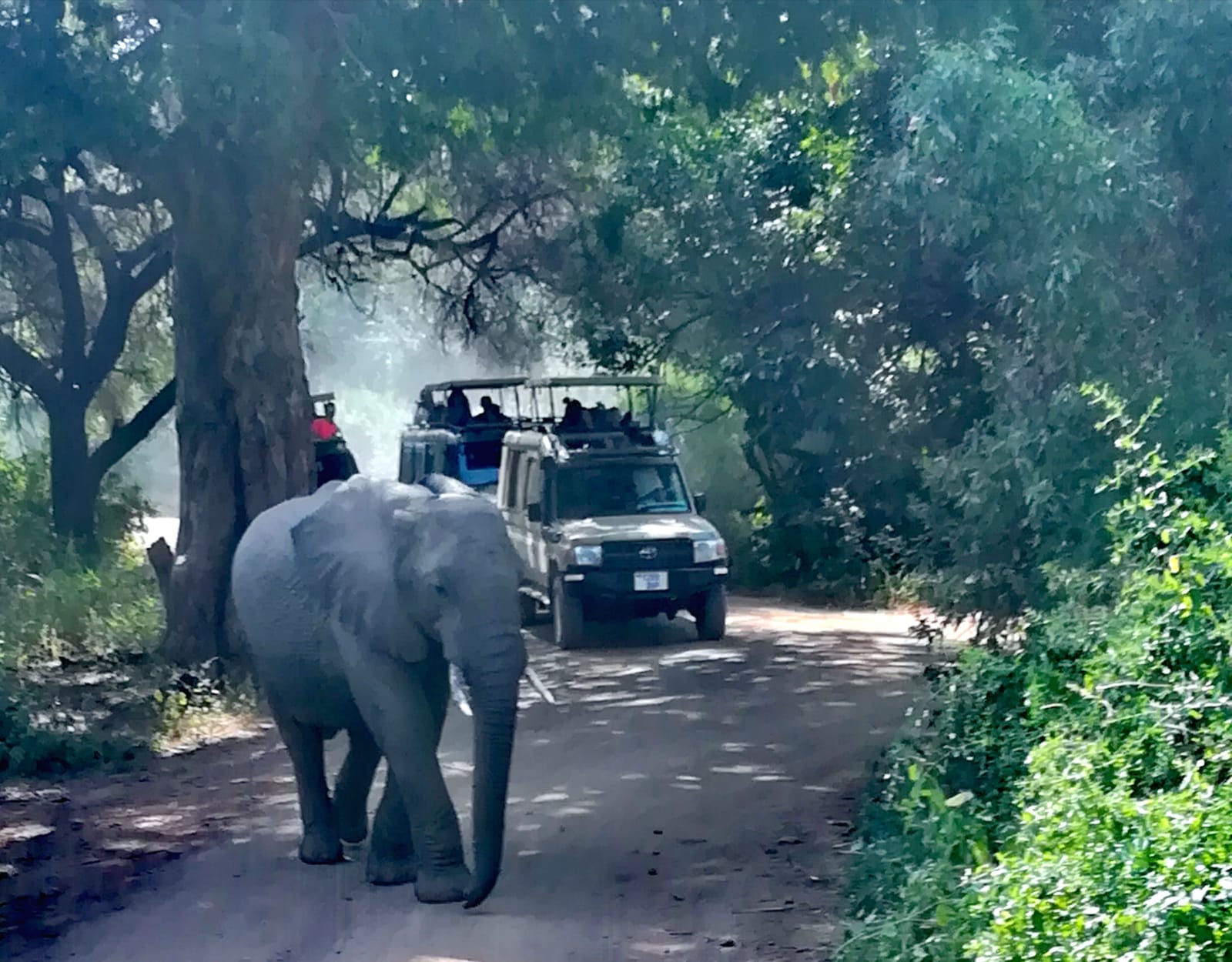 Viaggio in Tanzania