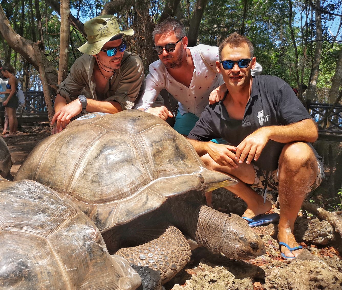 Viaggio in Tanzania