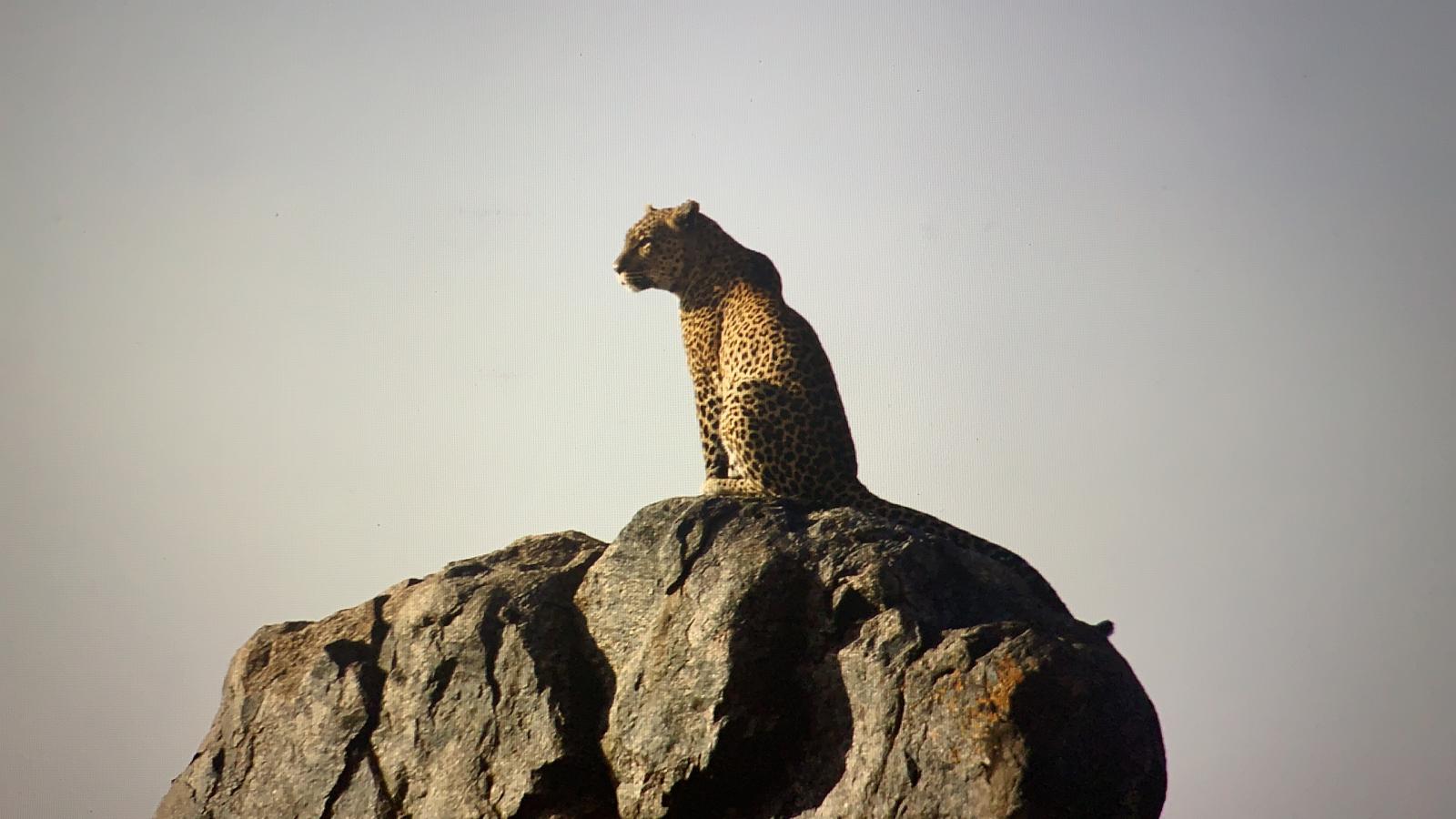 Viaggio in Tanzania