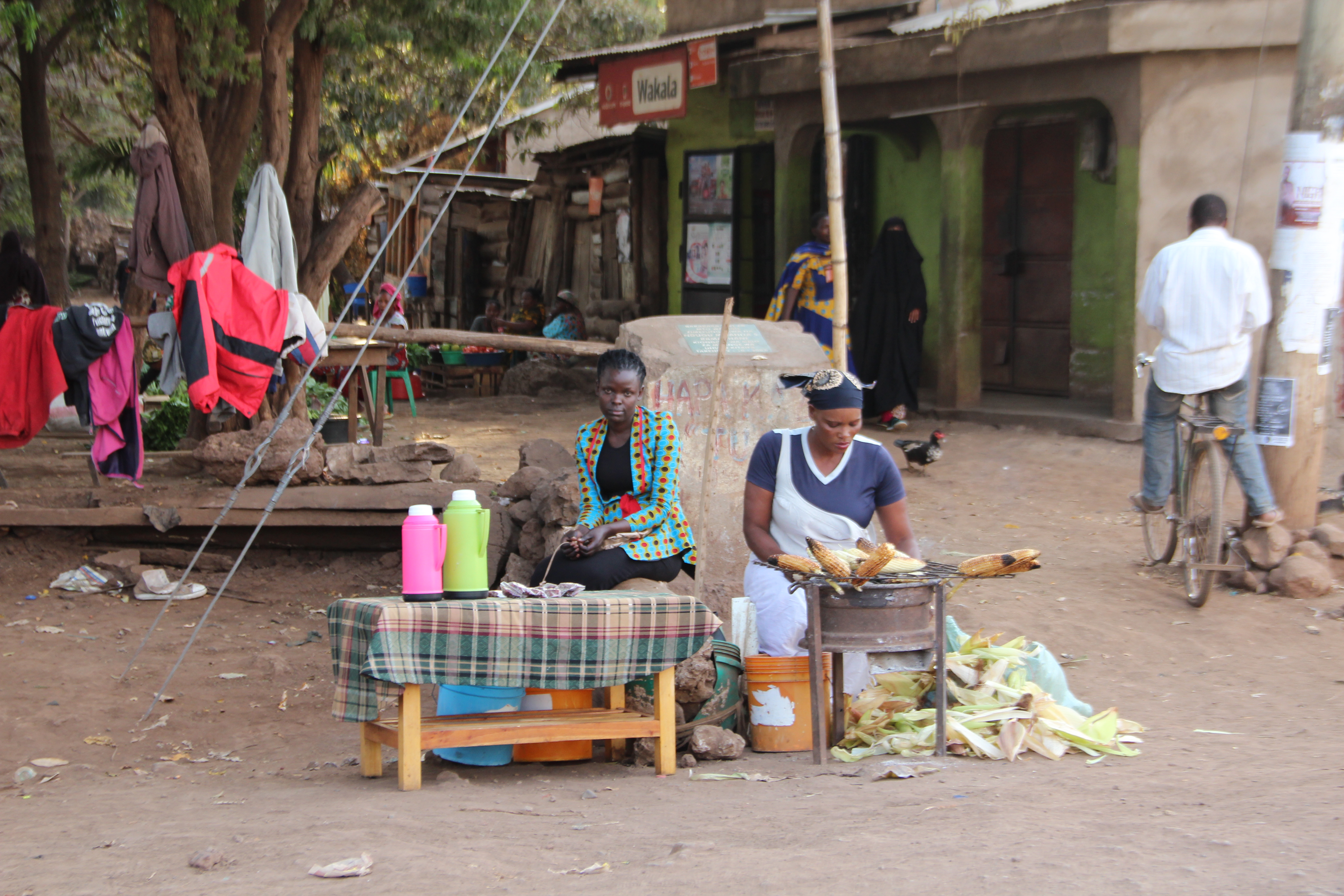 Viaggio in Tanzania
