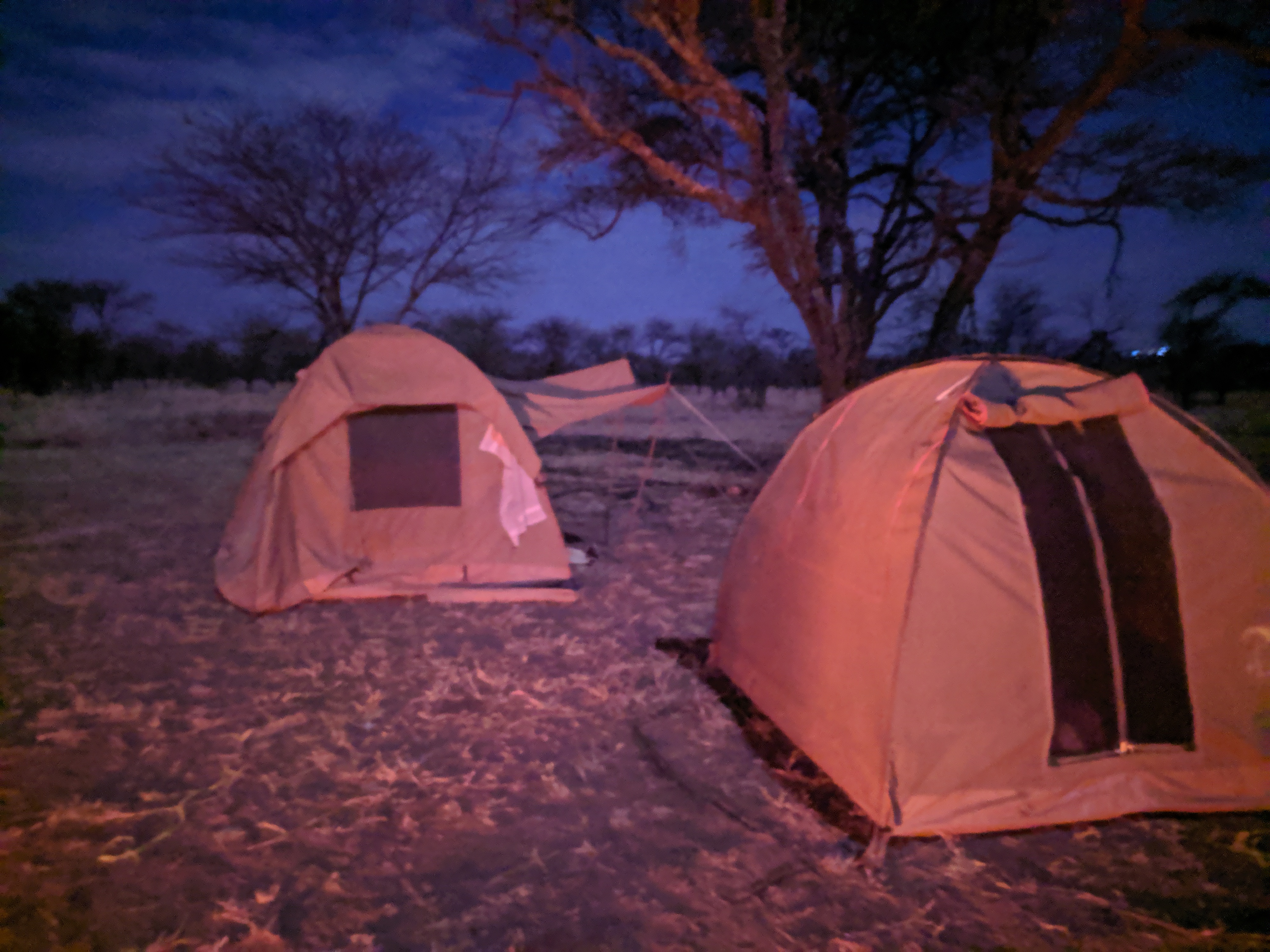 Viaggio in Tanzania