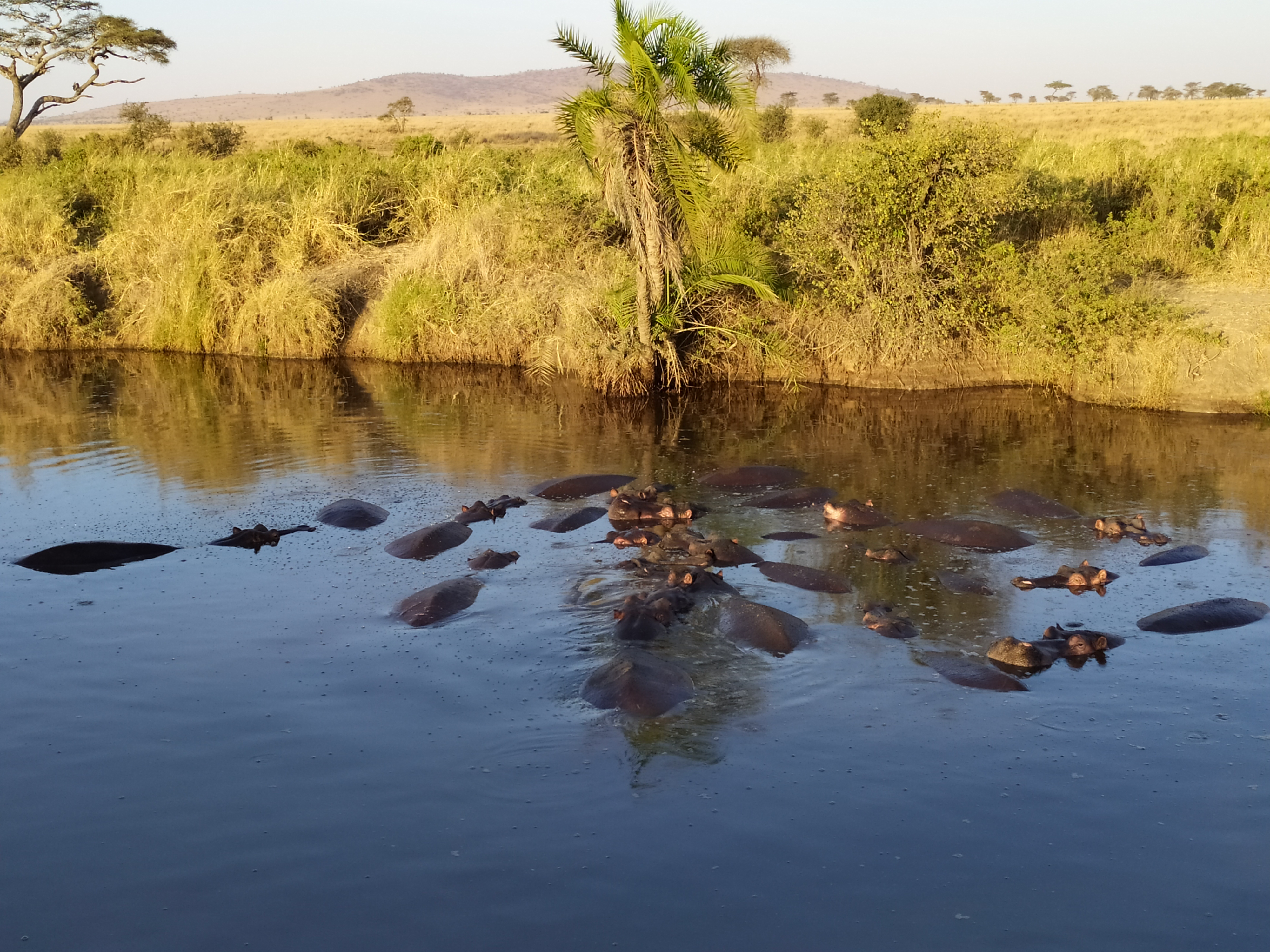 Viaggio in Tanzania