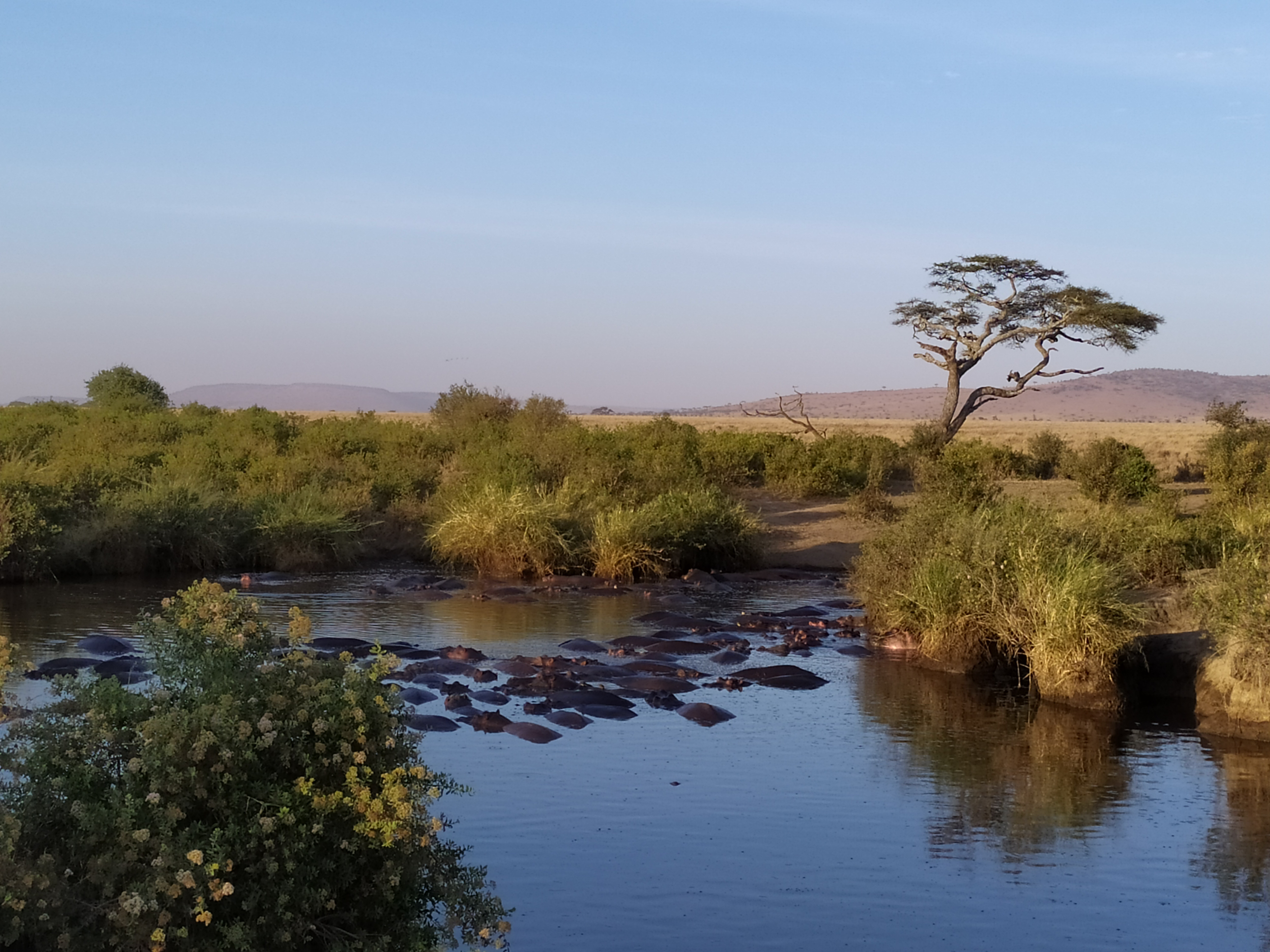 Viaggio in Tanzania