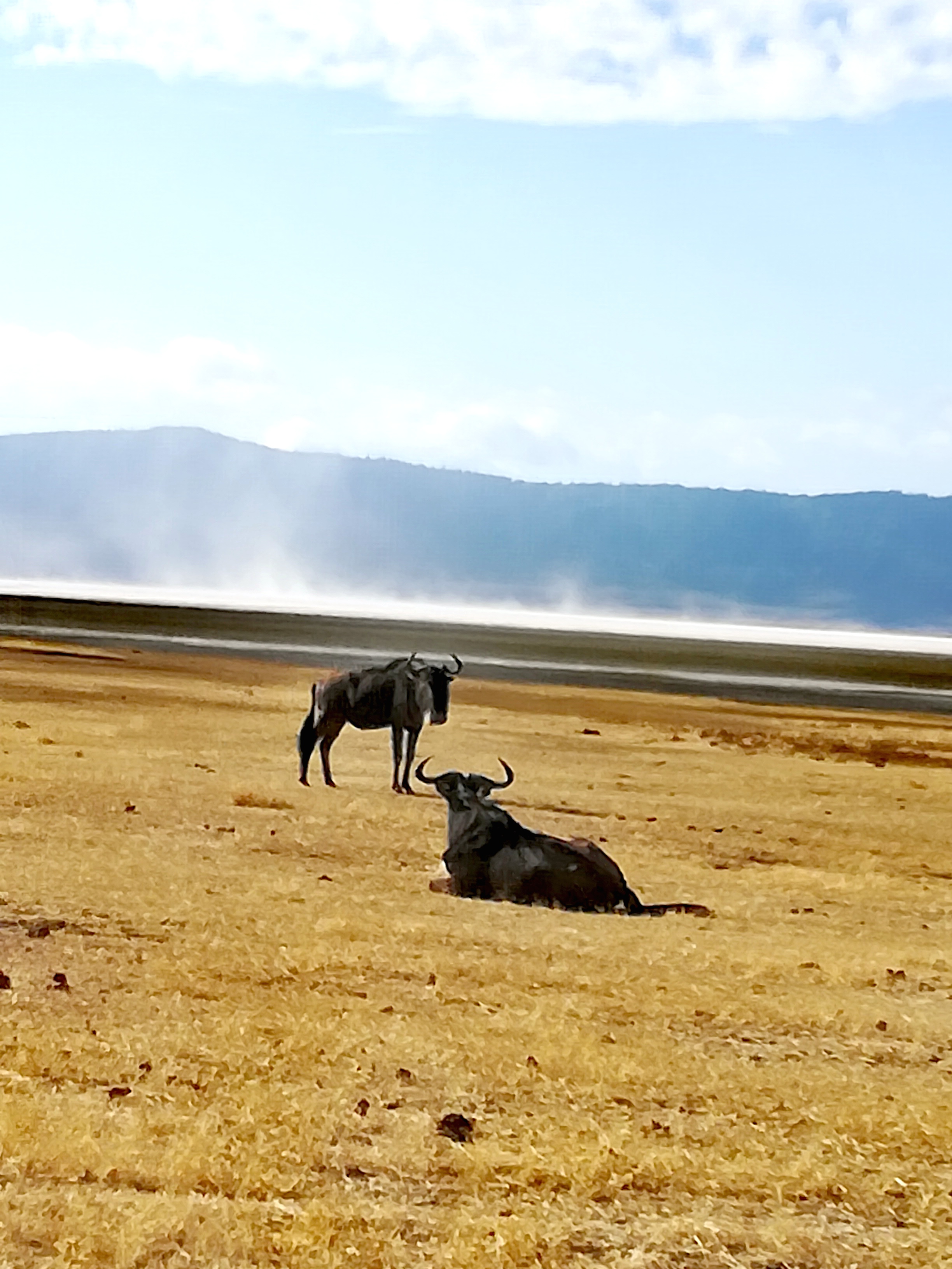 Viaggio in Tanzania