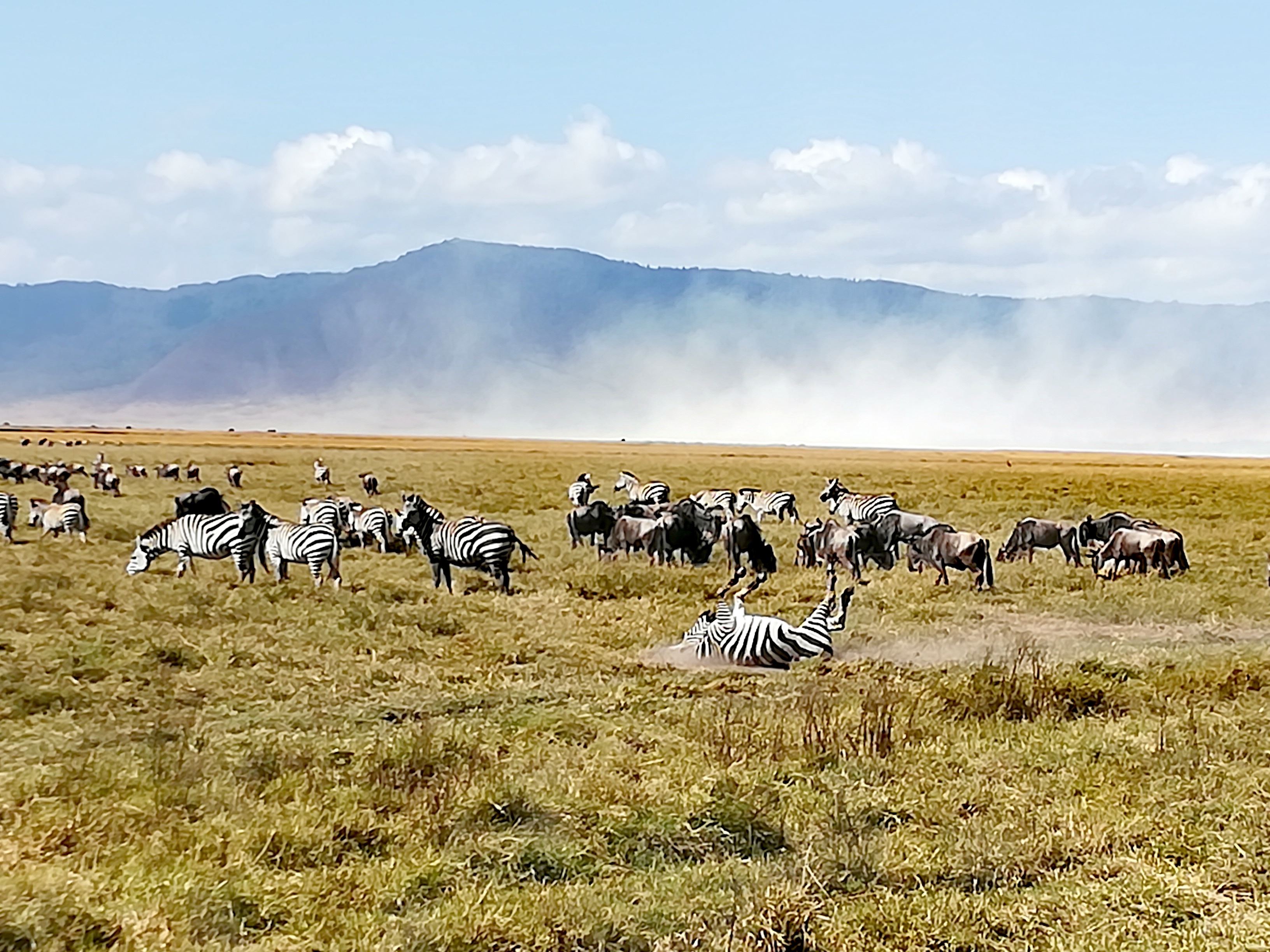Viaggio in Tanzania