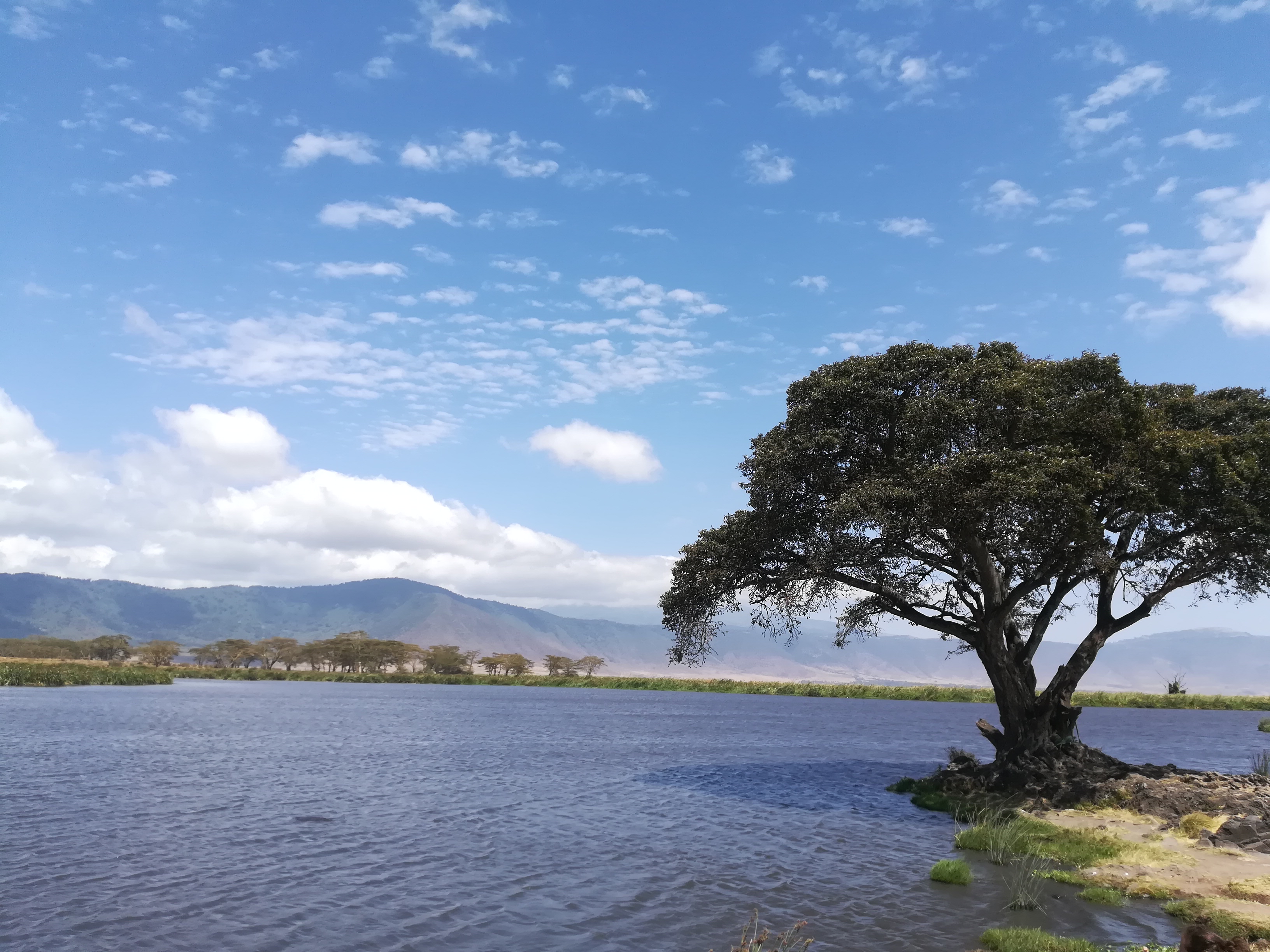 Viaggio in Tanzania
