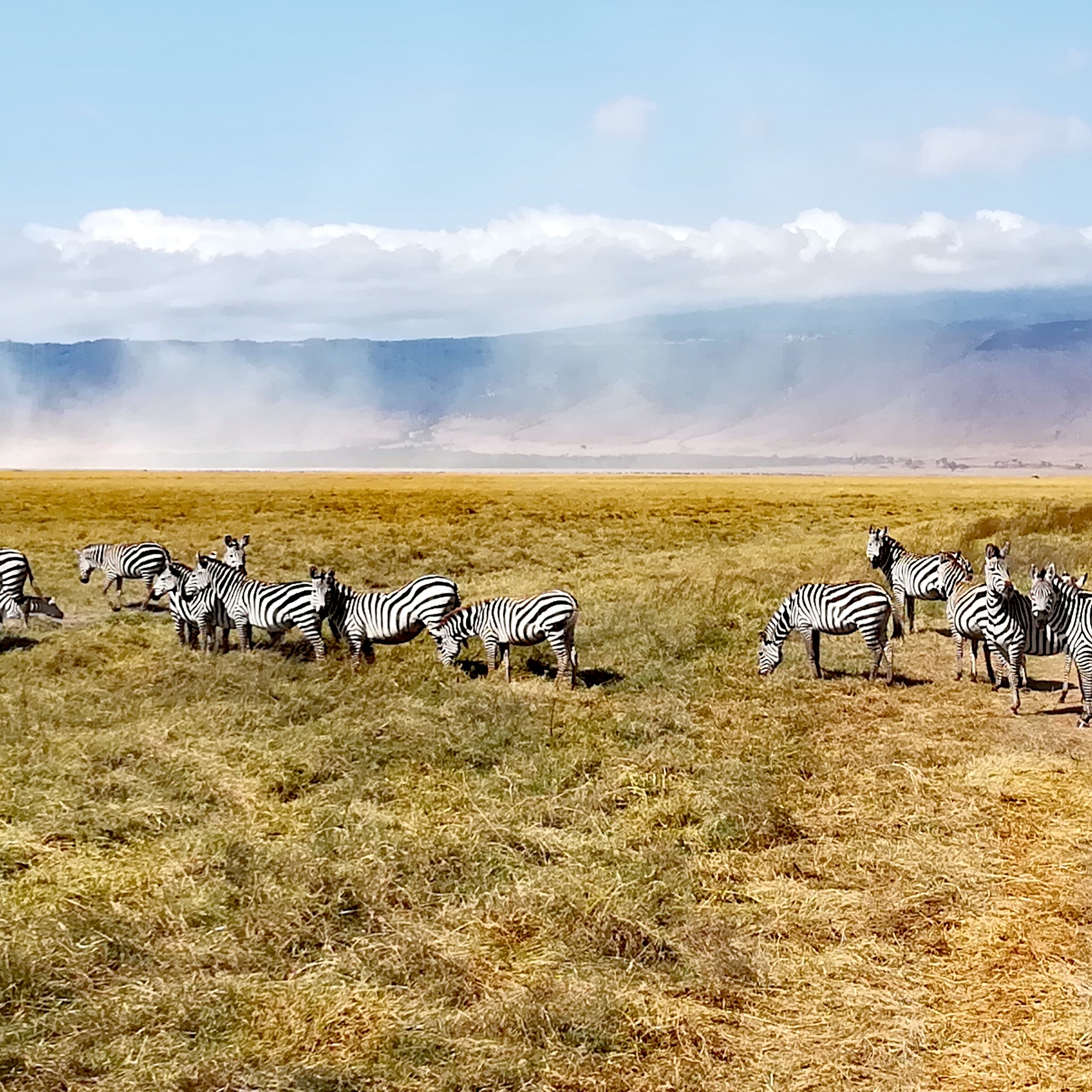 Viaggio in Tanzania