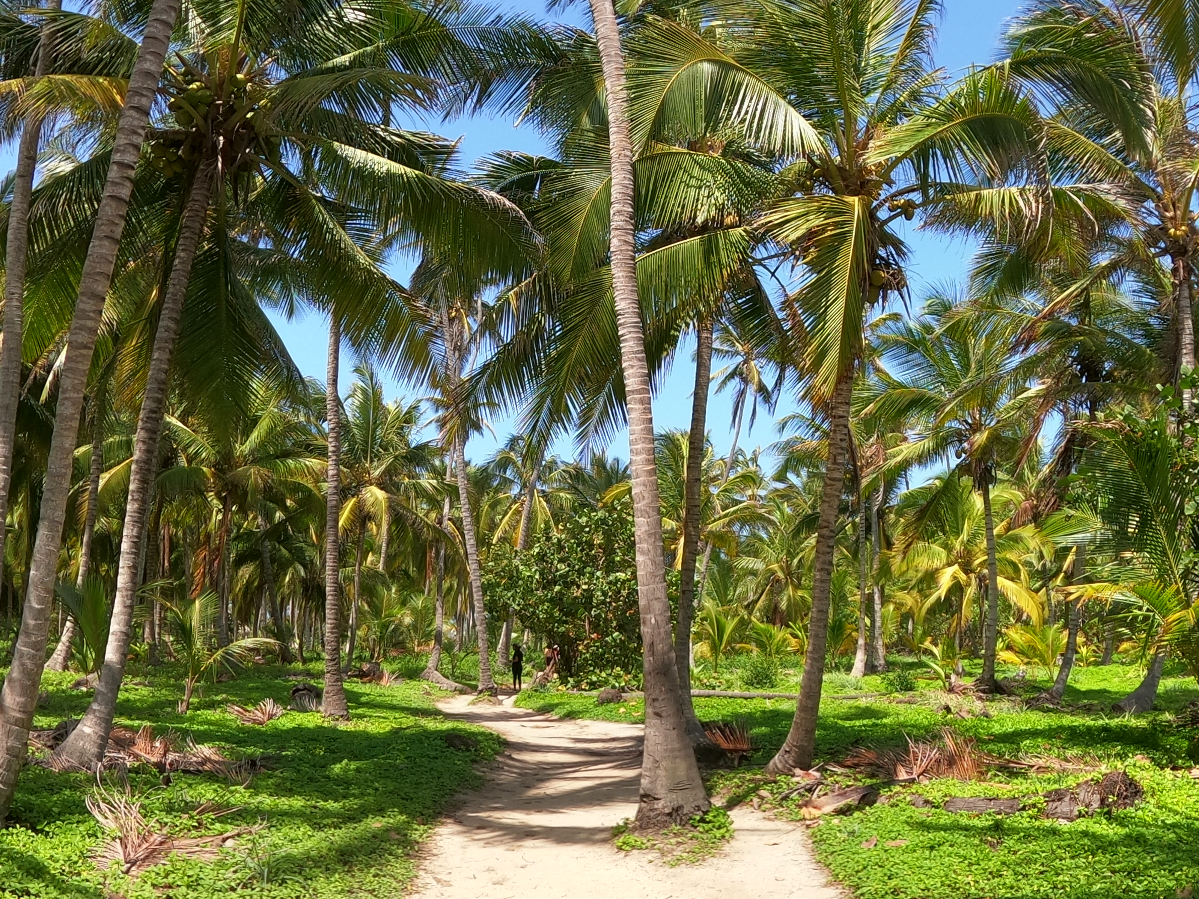 Viaggio in Colombia