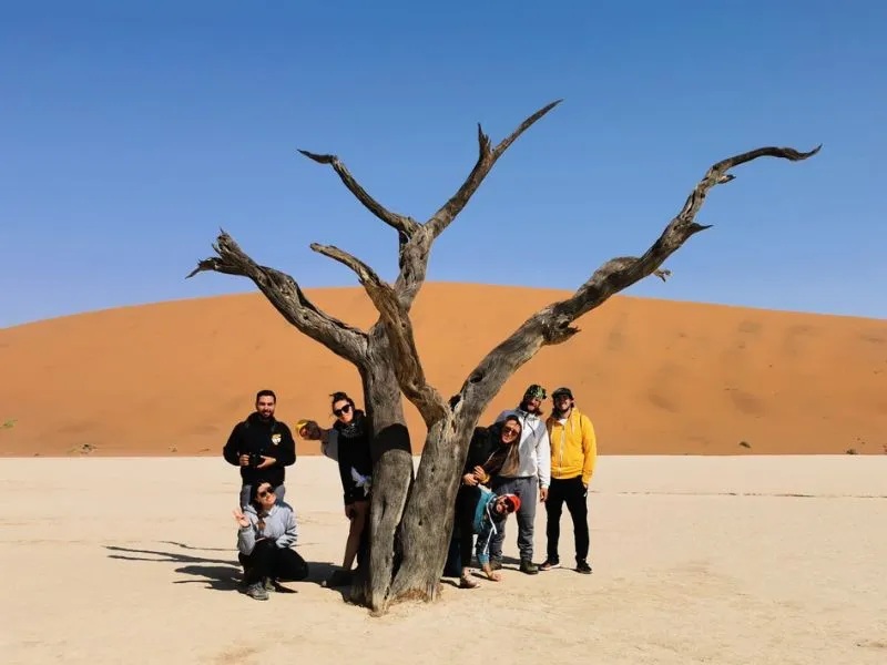 Safari in Namibia